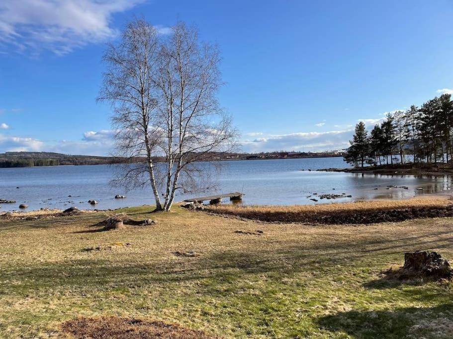 Lake Lodge Roennaes Leksand Bagian luar foto