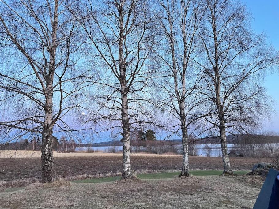 Lake Lodge Roennaes Leksand Bagian luar foto