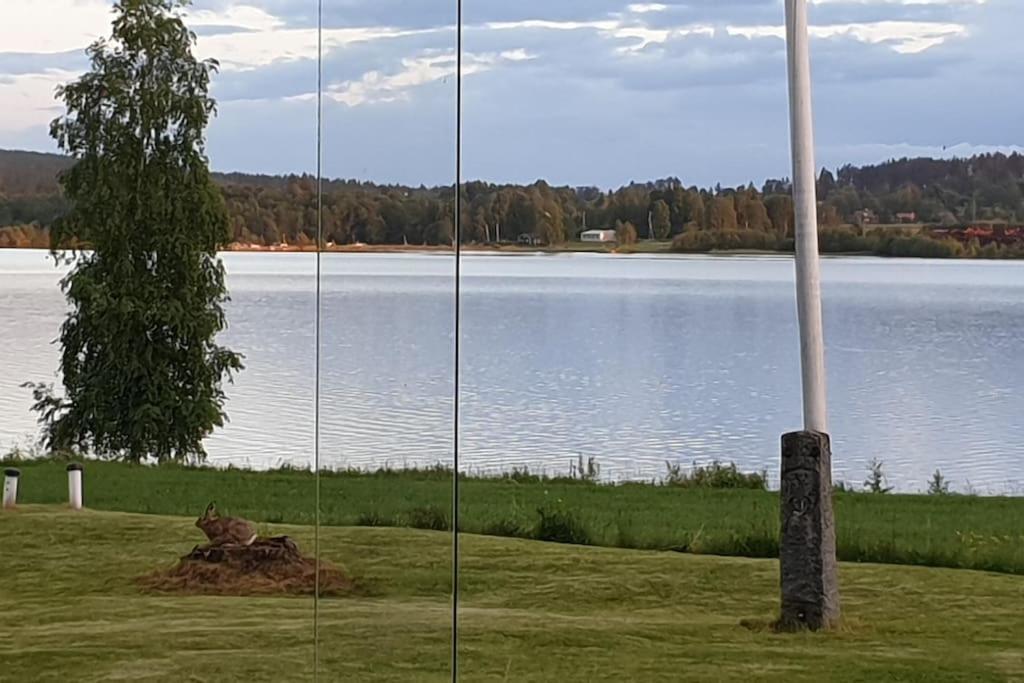 Lake Lodge Roennaes Leksand Bagian luar foto